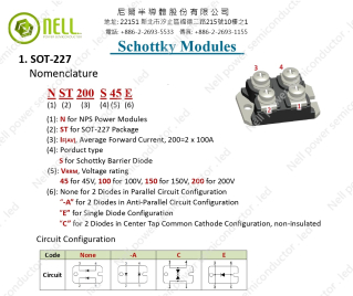 Schottky Modules